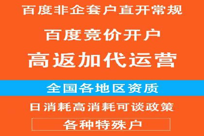 百度竞价赚钱攻略：实战案例分享